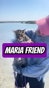 Maria is Flounder's paddle boarding friend. (And my friend... well, she was actually my friend first.) It has been established recently that Flounder has difficulty understanding: A. Why anyone would want to do anything other than paddle board and B. Why anyone would want to do anything with anyone other than her. This is a tough concept for me to explain because paddle boarding with Flounder is MY favorite thing to do, so trying to explain that Maria has OTHER friends and she goes further inlan