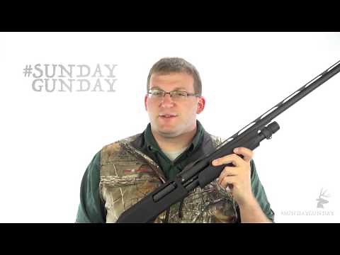 #SundayGunday: Stoeger P3000 Pump-Action Shotgun