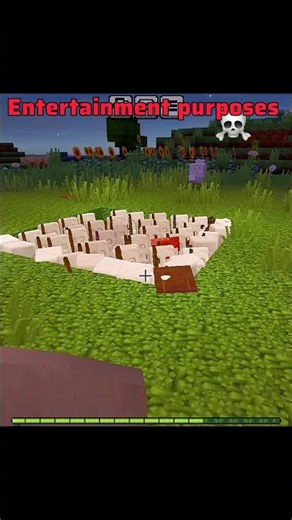 Entertainment purposes ☠️🥶|| Minecraft 🍷🗿 #shorts