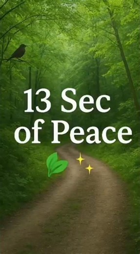 Peaceful Nature Walk With Birds Chirping ASMR 🌿🕊️ | Relaxing 13s Short#natureshorts #birdschirping