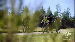 Adventure awaits! From these two Santa Cruz adventures, what’s your pick? 🌊🦭🛶 or 🌲🚴🌿? Find Your Awe in Santa Cruz County this spring! | Visit Santa Cruz