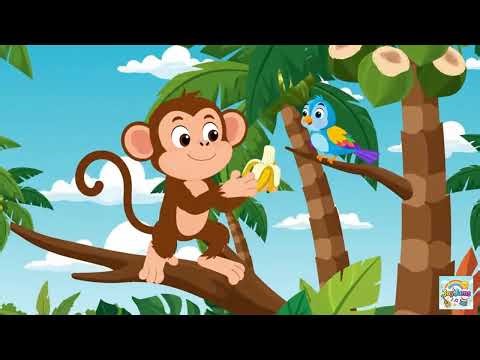 Crazy Monkey Jumping Everywhere 🐒