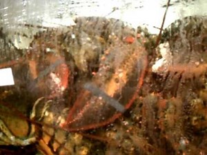 99 Ranch Market Fresh Live Fish and Seafood