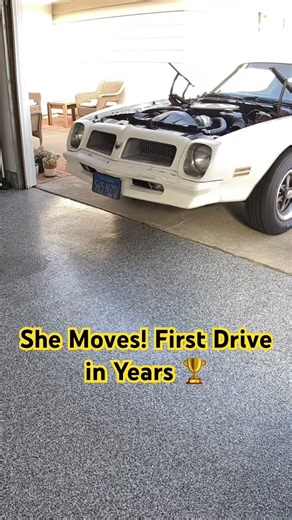 First Drive! 1976 Firebird Back on the Road 🦅