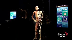 Exhibit featuring preserved human bodies in Atlantic Canada for 1st time