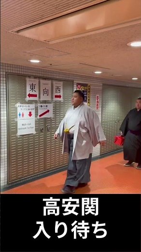 高安関入り待ち[大相撲大阪場所]#大相撲 #大阪場所#sumo #高安 #sumowrestlers |Takayasu Arrival Osaka Basho