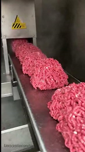 The Red Cattle Beef Production Cycle — From Farm to Plate