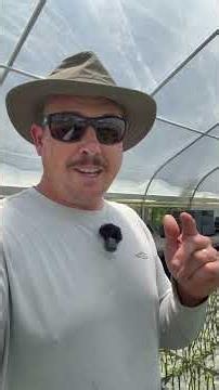 The Secret to Propagating Green Fig Cuttings