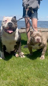 2.8K views · 69 reactions | Miss Demeanor & Juice Huge shout out to...