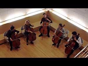 Applause by Lady Gaga for 5 Cellos - String Theory