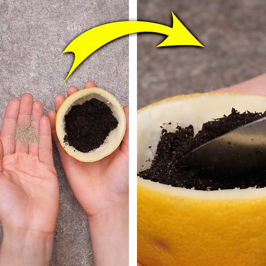 68K views · 57 reactions | Simply The Zest Lemon Hacks! | Everyday Life | Facebook