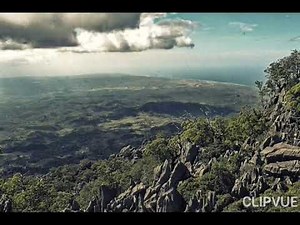 Musik timor leste festa