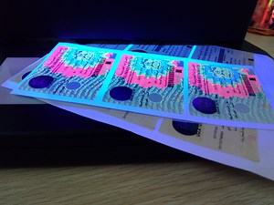 [Hot Item] Hot Stamping 3D Hologram Security Stamp Excise Sales Tax Paper UV Printing Sticker