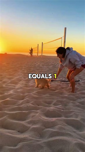 I've Been Waiting For Someone To Take Me Home #shorts