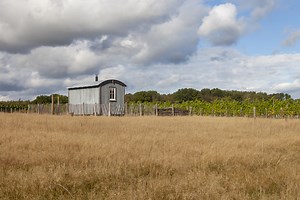 The Hunt Shepherd's Hut - Oxney Organic