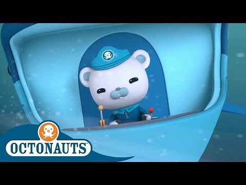 Octonauts - Captain Barnacles Rescues the Penguins | Cartoons for Kids | Underwater Sea Education