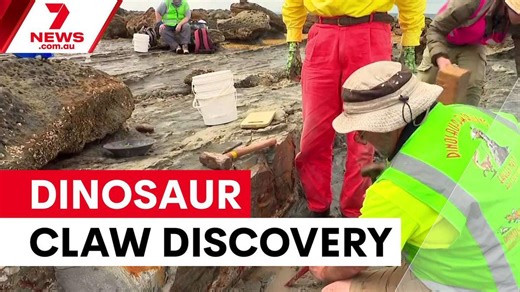 Grandmother unearths 120 million year old dinosaur claw