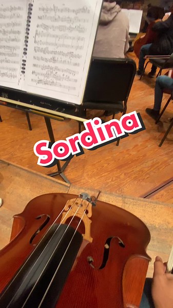 La Sordina! | #FrankCello #musicos #cello #violin | cello