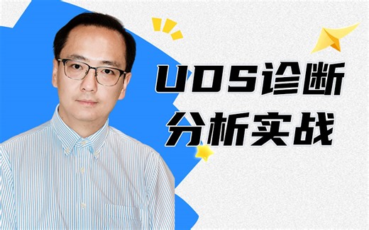 车载测试绝对干货：USD诊断分析实战丨满满的干货丨软件测试丨车载测试
