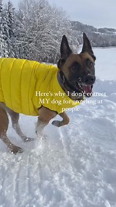 3.2K views · 45 reactions | Lotta is allowed to growl at people! Yes...