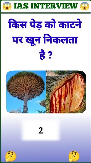 MOST IMPORTANT QUESTIONS #AND ANSWERS UPSC EXAM NDA #shorts #AND #gkquiz #question #gk #upsc #shorts