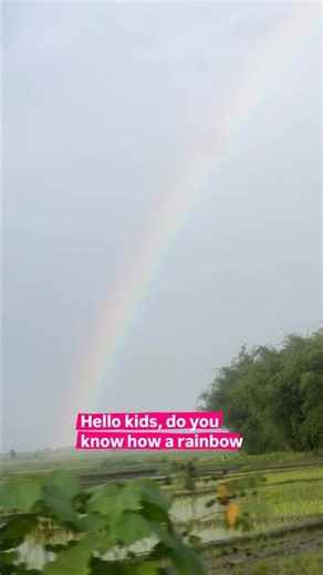 How is rainbow 🌈 formed? #dispersionoflight #lifescience