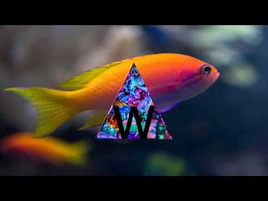 Beat Connection - Same Damn Time