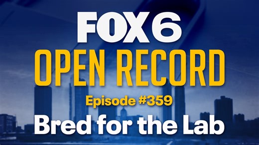 Open Record: Bred for the Lab