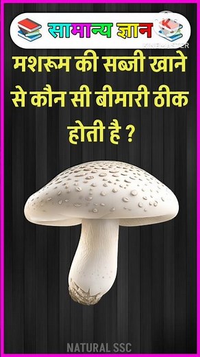 Top 50 ✍️ IAS Question🔥💯🥰 || GK Question and Answer|Part-50| #facts #gkfacts #gkinhindi #staticgk