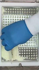 Making capsules can be satisfying. #asmr #pharmacy #medicine #healthcare #satisfying