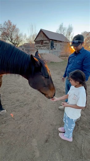 Best little helper! #horses #countrylife #country #equestrian #blessed