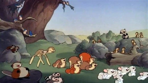 Donald Duck Cartoons 28 - Donald's Camera 1941 | When Donald Duck wants to became a wildlife photogr