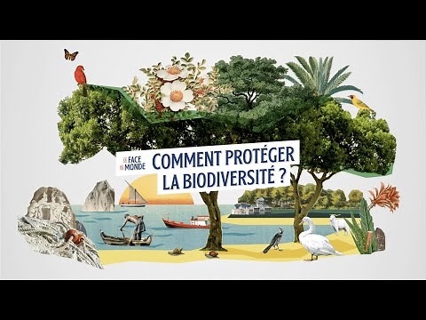 How to protect the planet? | The Face of the World | Lumni