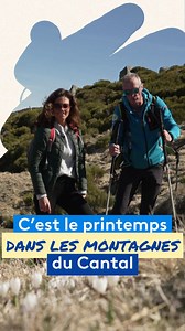 "C'était le printemps" dans le Cantal 🌸 https://france3-regions.francetvinfo.fr/auvergne-rhone-alpes/cantal/video-randonnee-a-la-decouverte-du-plateau-du-limon-cantal-3139115.html La neige avait disparu lors du tournage de cette vidéo, laissant place aux premiers crocus blancs et mauves. Mais la météo en montagne est imprévisible, et la neige a fait son retour. C’est magnifique de voir la nature s’adapter. Bureau Guides d'Auvergne cantal auvergne Sancy Outdoor ProductionLa | France 3 Auvergne
