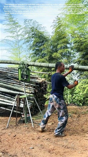 Sliding Roller Design Streamlines Forest Bamboo Transport Process