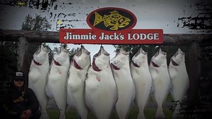 129 reactions · 18 shares | Ninilchik Halibut/Salmon Combos only $1,200 Full Boat. Call Now: 907-262-5561 | Jimmie Jack's Alaska Fishing Lodges | Facebook
