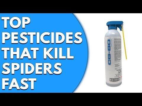 3 Top Pesticides That Kill Spiders Fast: Effective Spider Control