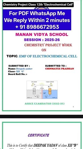 Chemistry Investigatory Project Class 12 | Electrochemical Cell | #Shorts