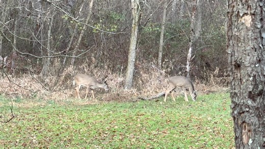 Deer Hunting| Opening Weekend of the 2025 PA Deer Gun Season! Part 122 | Off The Hook Outdoors