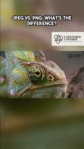 JPEG vs. PNG Explained | STOP Using the Wrong Image Format !