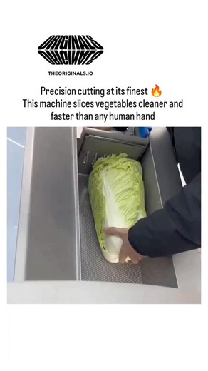 universe_decode on Instagram: "The post showcases a video of an industrial vegetable slicer shredding green cabbage into fine strips and slicing whole pumpkins into uniform discs, demonstrating superior precision over manual cutting, with over 2 million views in hours. Rapid cuts in the footage create an optical illusion of cabbage morphing into pumpkin slices, prompting 367 replies filled with jokes about vegetable alchemy, such as "cabbage in, papaya out". This viral effect highlights how subt