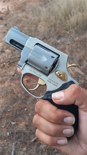 Taurus 856 38 special handgun