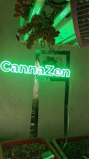 What Happens in a CannaZen Grow Room?