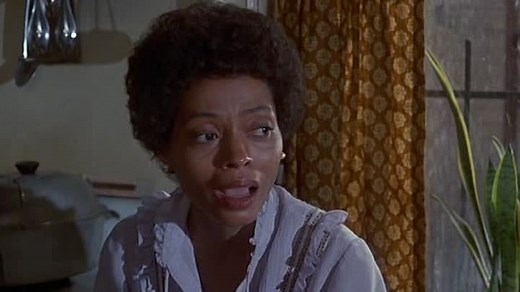 The.Wiz.1978.DUAL.DVDRip.XviD-MadMax