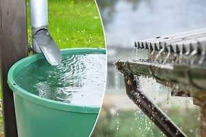 Comment récupérer et réutiliser (très simplement) l'eau de pluie ?
