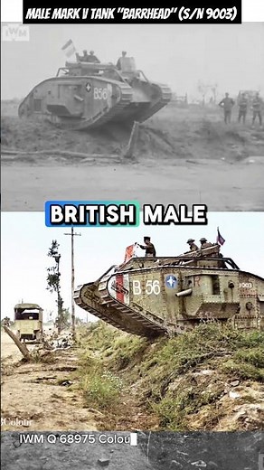 Male Mark V Tank, B56, "Barrhead" (s/n 9003) Some Mark V Tanks had one half male & one half female