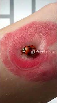 Are House Centipedes Dangerous? 😱 The Truth About Your Home's Natural Pest Control - Pest Asset