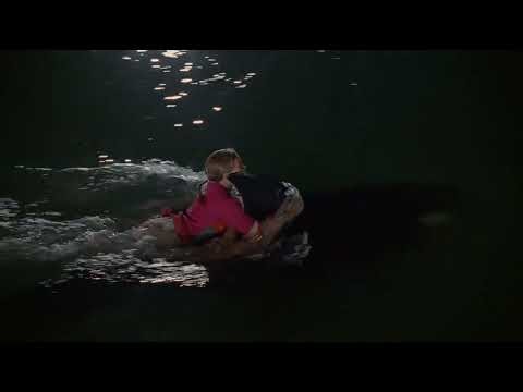 Free Willy: Escape from Pirate's Cove: Part 42