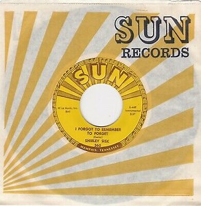 24049295-Shirley-Sisk-I-Forgot-To-Remember-To-Forget-